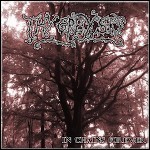 Thy Grey Sky - In Chains Forever (EP) - keine Wertung