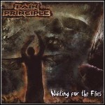 Pain Principle - Waiting For The Flies - 5 Punkte