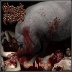 Grotesque Impalement - Redeemed By Consumption