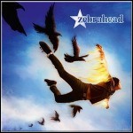 Zebrahead - Phoenix