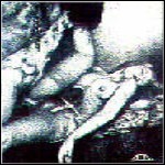 Sublime Cadaveric Decomposition / Infected Pussy - Split