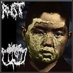 Rot / Sublime Cadaveric Decomposition - Split