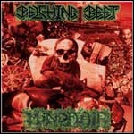 Belching Beet / Mindflair - Split