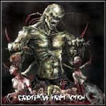 Carnal Decay / Prejudice - Grotesque First Action 