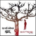 My Cold Embrace / Rapture [DE] - Schnittmenge Split Ep (EP)