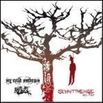 Rapture [DE] / My Cold Embrace - Schnittmenge Split Ep (EP) - 7,5 Punkte