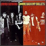 Lynyrd Skynyrd - Gimme Back My Bullets