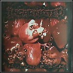 Incarnated - Human Flesh