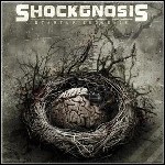 Shockgnosis - Startup Sequence