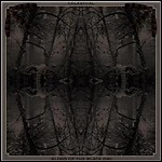 Blood Of The Black Owl / Celestiial - Split
