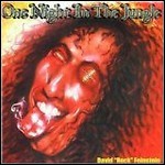 David Rock Feinstein - One Night In The Jungle 