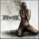 Ingested - The Surreption