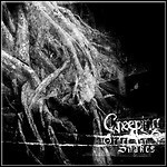 Creeping - Order Of Snakes