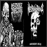 Meathole Infection / Necrovorous - Split