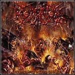 Profanation - Contorted Bodies In Pain Profanation - Contorted Bodies In Pain