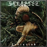 Synapses - Expiation