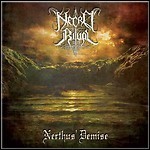 Necro Ritual - Nerthus Demise