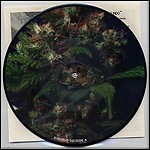 Corrupted / Phobia - Split (EP)