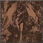 Converge / Napalm Death - Split