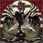 The Levitation Hex - The Levitation Hex The Levitation Hex - The Levitation Hex