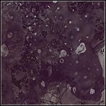 Pinkish Black - Razed To The Ground Pinkish Black - Razed To The Ground