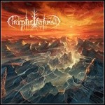 Cryptic Forest - Ystyr Cryptic Forest - Ystyr