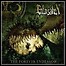 Enforsaken - The Forever Endeavor - 7 Punkte Enforsaken - The Forever Endeavor - 7 Punkte
