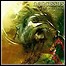 Narcissus - Crave And Collapse - 6 Punkte Narcissus - Crave And Collapse - 6 Punkte