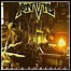 Anvil - Back To Basics - 5 Punkte