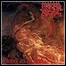 Morbid Angel - Blessed Are The Sick - 10 Punkte