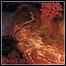 Morbid Angel - Blessed Are The Sick - 10 Punkte Morbid Angel - Blessed Are The Sick - 10 Punkte