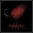 Daylight Dies - Dismantling Devotion - 6,5 Punkte Daylight Dies - Dismantling Devotion - 6,5 Punkte