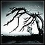 Spiritus Mortis - Fallen - 7 Punkte Spiritus Mortis - Fallen - 7 Punkte