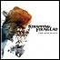 Strapping Young Lad - The New Black - 8,5 Punkte Strapping Young Lad - The New Black - 8,5 Punkte