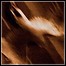 Agalloch - Ashes Against The Grain - 8,5 Punkte