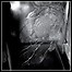 Comity - ...As Everything Is A Tragedy - 7,5 Punkte Comity - ...As Everything Is A Tragedy - 7,5 Punkte