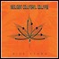 Negligent Collateral Collapse - Sick Atoms - 3 Punkte Negligent Collateral Collapse - Sick Atoms - 3 Punkte