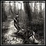 Eventide - Diaries From The Gallows - 7,5 Punkte Eventide - Diaries From The Gallows - 7,5 Punkte