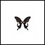 7 Times Suicide - The Butterfly Factory (EP) - 6 Punkte 7 Times Suicide - The Butterfly Factory (EP) - 6 Punkte