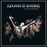 Kingdom Of Salvation - Lost In Chaos - 7 Punkte Kingdom Of Salvation - Lost In Chaos - 7 Punkte