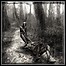 Eventide - Diaries From The Gallows Eventide - Diaries From The Gallows