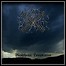 No Empathy - Blasphemic Devastation - keine Wertung