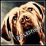 Kresta - Damaged Passion - 5,5 Punkte Kresta - Damaged Passion - 5,5 Punkte