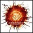 Morian - Sentinels Of The Sun - 5 Punkte Morian - Sentinels Of The Sun - 5 Punkte