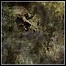 In Tha Umbra - Thus Open Thine Eerie Wings Like An Eagle And Soar The Winds Of Chaos - 4 Punkte In Tha Umbra - Thus Open Thine Eerie Wings Like An Eagle And Soar The Winds Of Chaos - 4 Punkte
