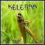 Kelebra - Decay Inside (EP) - 6,5 Punkte Kelebra - Decay Inside (EP) - 6,5 Punkte