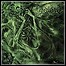 The Legion - A Bliss To Suffer - 8,5 Punkte The Legion - A Bliss To Suffer - 8,5 Punkte