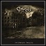 Caducity - Destination: Caducity - 6,5 Punkte Caducity - Destination: Caducity - 6,5 Punkte