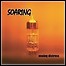 Soaring - Analog Distress - 2 Punkte