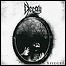 Decay - Spiegel (EP) - 5 Punkte Decay - Spiegel (EP) - 5 Punkte